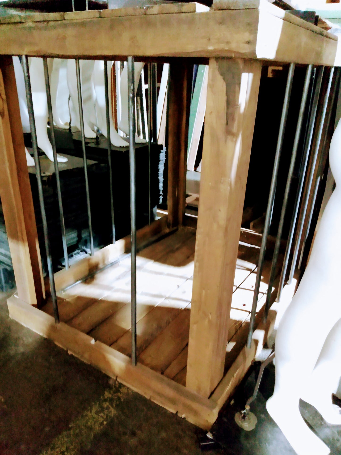 Cage à lion