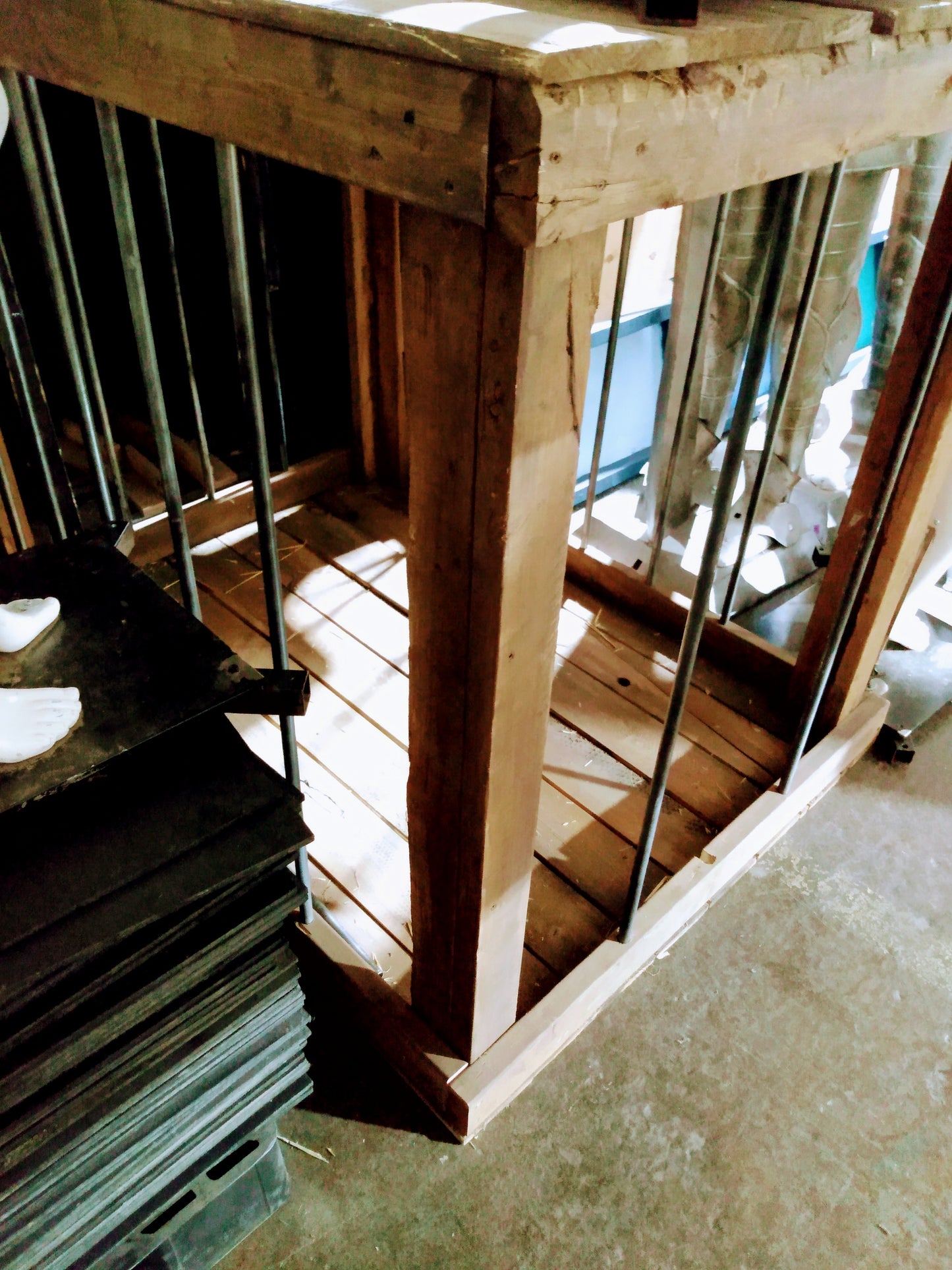 Cage à lion