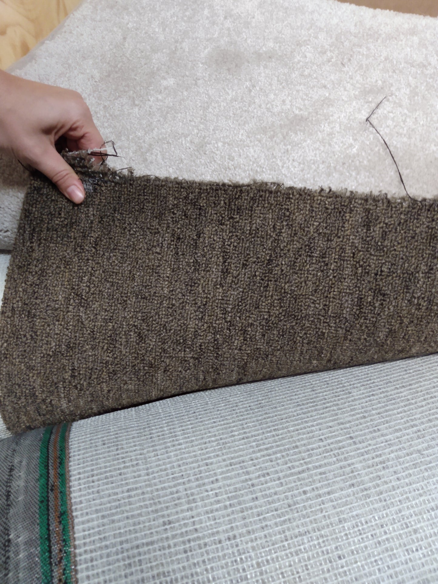 Rouleaux de moquette brune