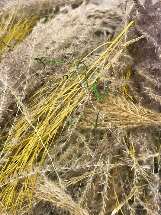 Bouquet de pampas variés