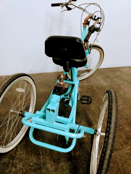 Tricycle et chariot adapté