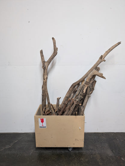 branches et bois de grève