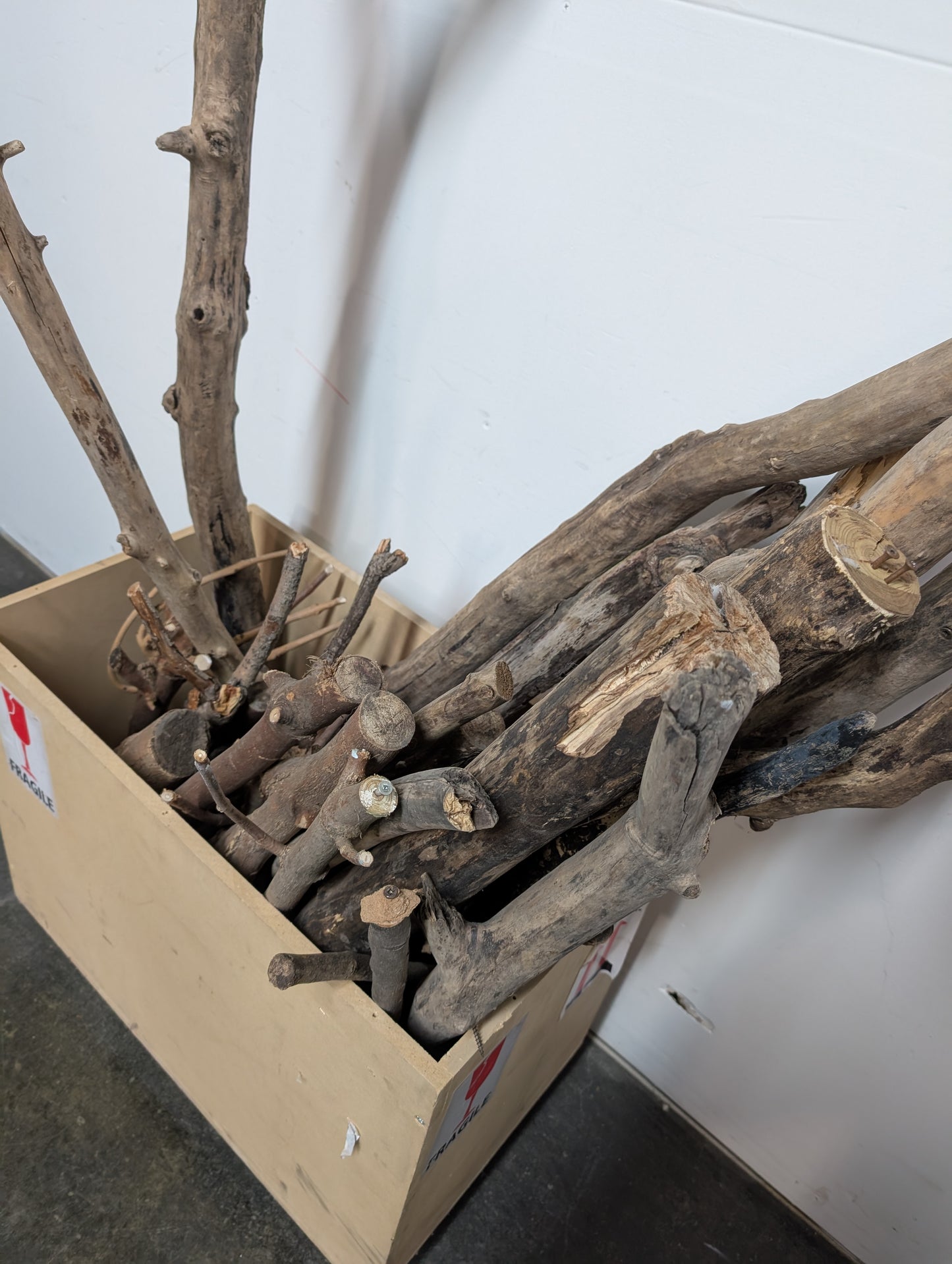 branches et bois de grève