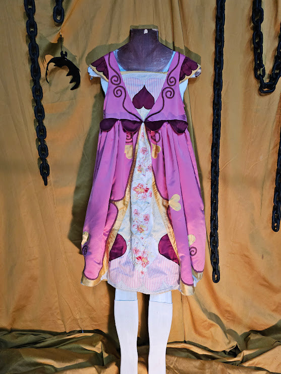 Costume Cendrillon (réversible)